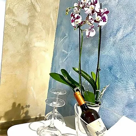 Antica Zio Cesare *
