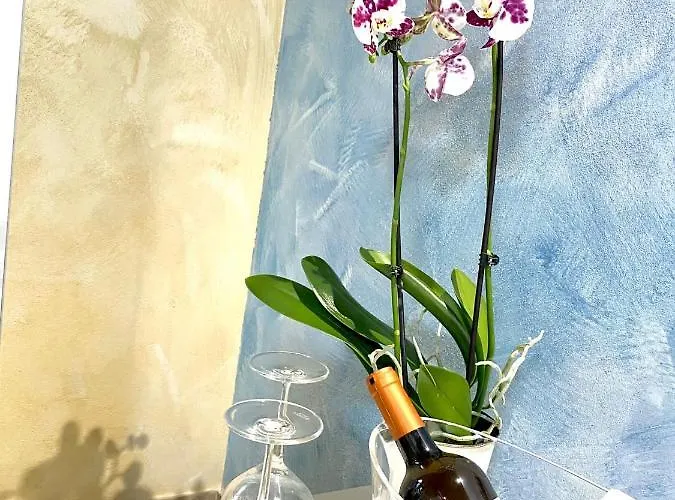 Antica Zio Cesare Ferrara